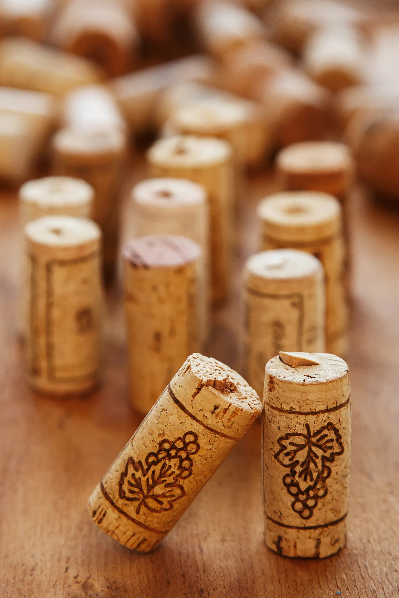 tappi per vino-chi-siamo